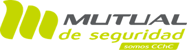 Mutual de Seguridad